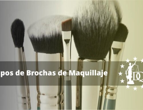 Tipos de Brochas de Maquillaje y sus Funciones