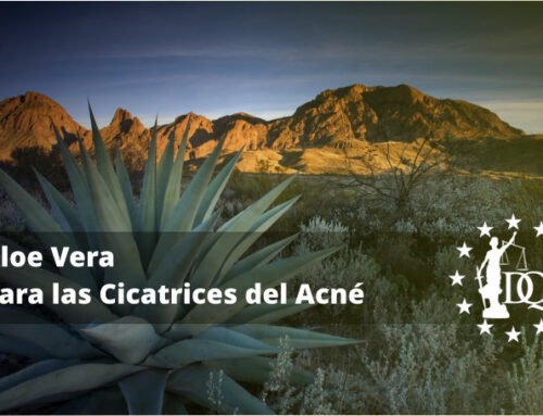 Aloe Vera para las Cicatrices del Acné