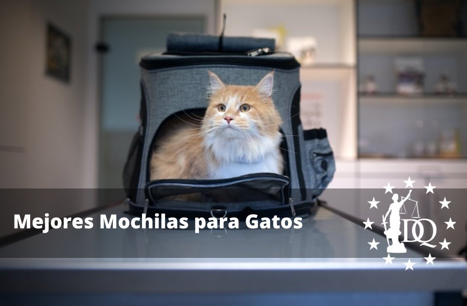 Mejores Mochilas para Gatos