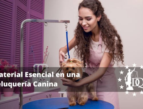 Material Esencial en una Peluquería Canina