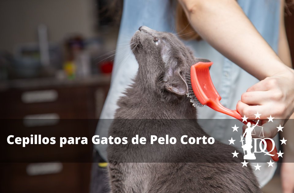 Cepillos para Gatos de Pelo Corto