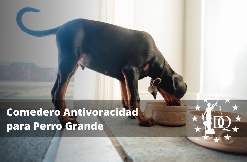 Comedero antivoracidad para perro grande