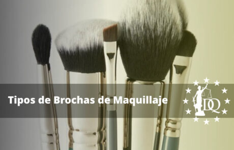 Tipos de Brochas de Maquillaje y sus Funciones