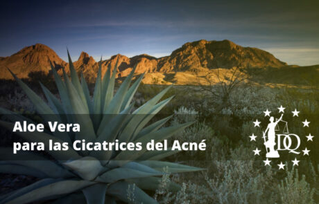 Aloe Vera para las Cicatrices del Acné