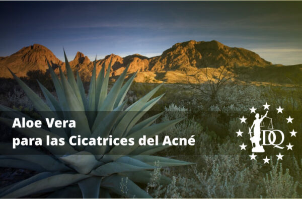 Aloe Vera para las Cicatrices del Acné Aloe Vera para las Cicatrices del Acné