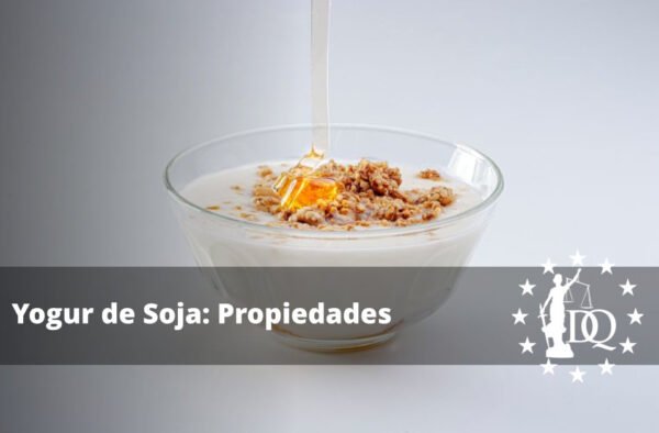 Yogur de Soja