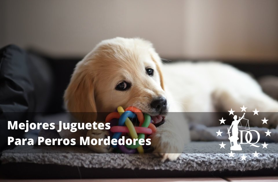 Mejores Juguetes Para Perros Mordedores