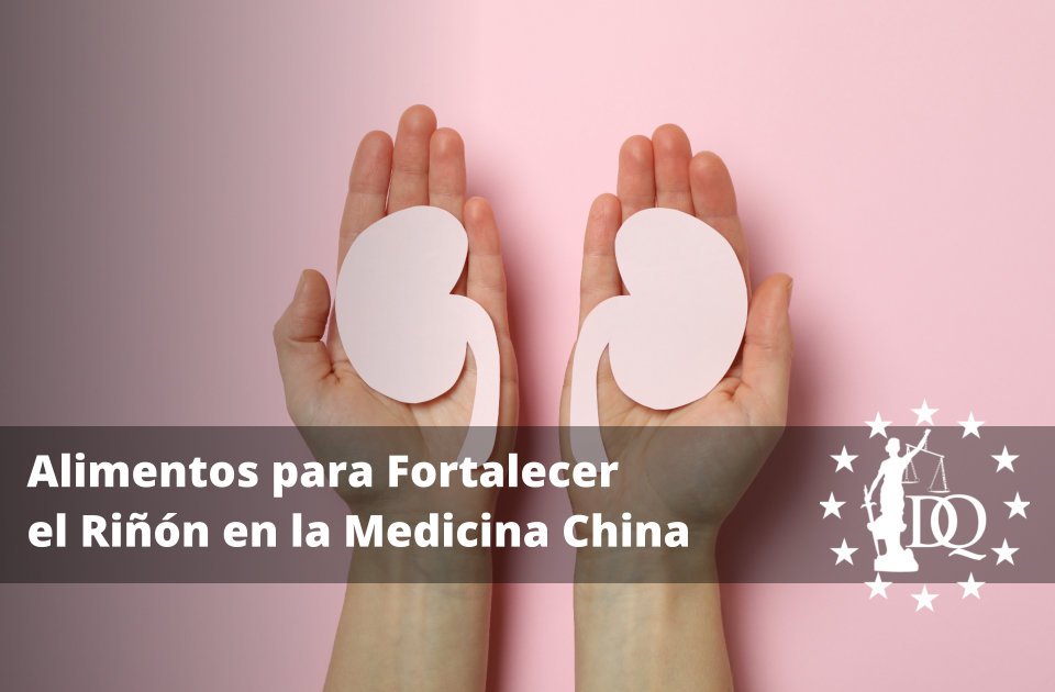 Alimentos para Fortalecer el Riñón en la Medicina China