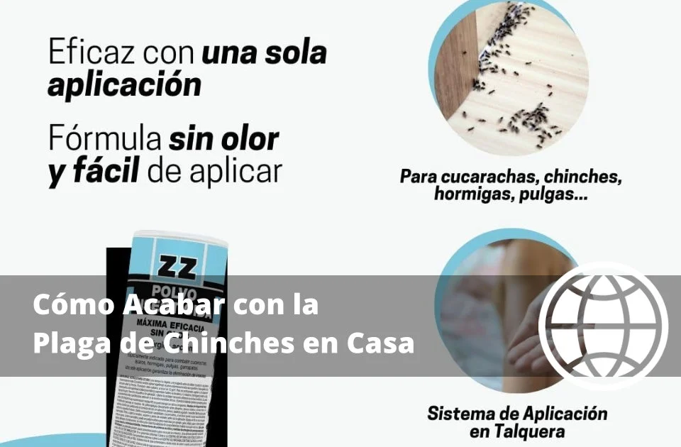 Cómo Acabar con la Plaga de Chinches en Casa