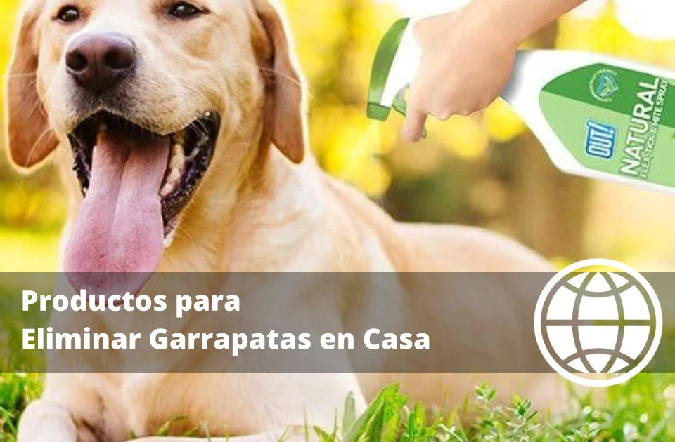 Productos para Eliminar Garrapatas en Casa